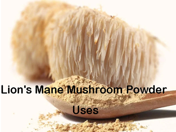 What Is Lion's Mane Mushroom Powder Used For?